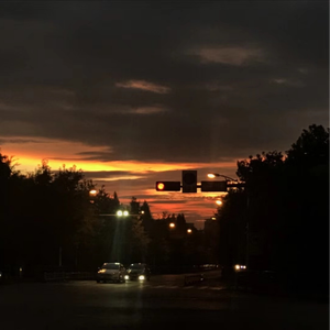 中国男同志视频网站
