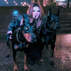 中国男同志视频网站
