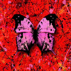 中国男同志视频网站
