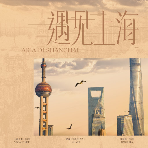 中国男同志视频网站
